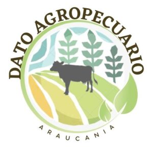 WhatsApp Image 2025-06-17 at 11.14.28