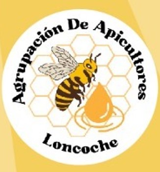 WhatsApp Image 2025-07-02 at 16.29.52