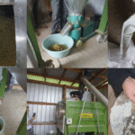 AGROL fortalece sus conocimientos en clase práctica sobre alimentación ovina