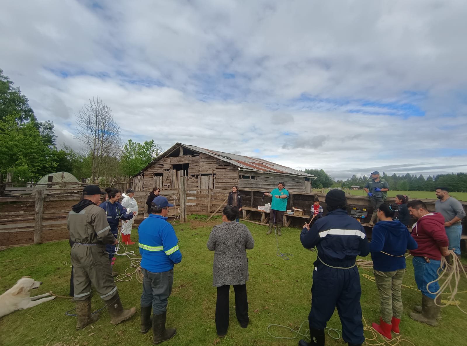 Curso de Enfermería de Ganado y Manejo de Animales de Granja realizó su práctica en la localidad de Casahue