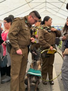 WhatsApp Image 2025-11-09 at 19.52.48