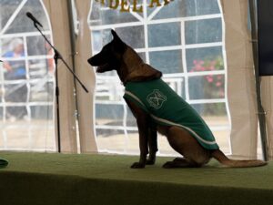 WhatsApp Image 2025-11-09 at 19.52.49