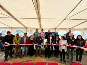 WhatsApp Image 2025-11-09 at 19.52.51