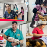 Programa de Tenencia Responsable de Mascotas Informa: