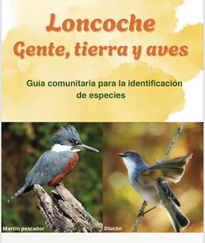 WhatsApp-Image-2025-10-27-at-6.36.10-PM